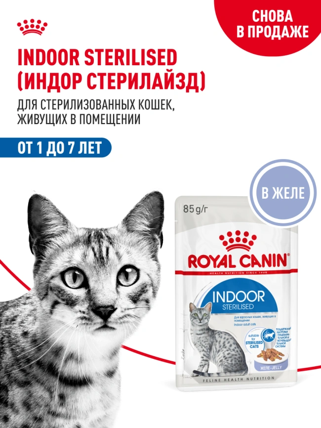 Влажный корм Royal Canin Indoor паштет для кошек, живущих в помещении, пауч, 85 г фото 14