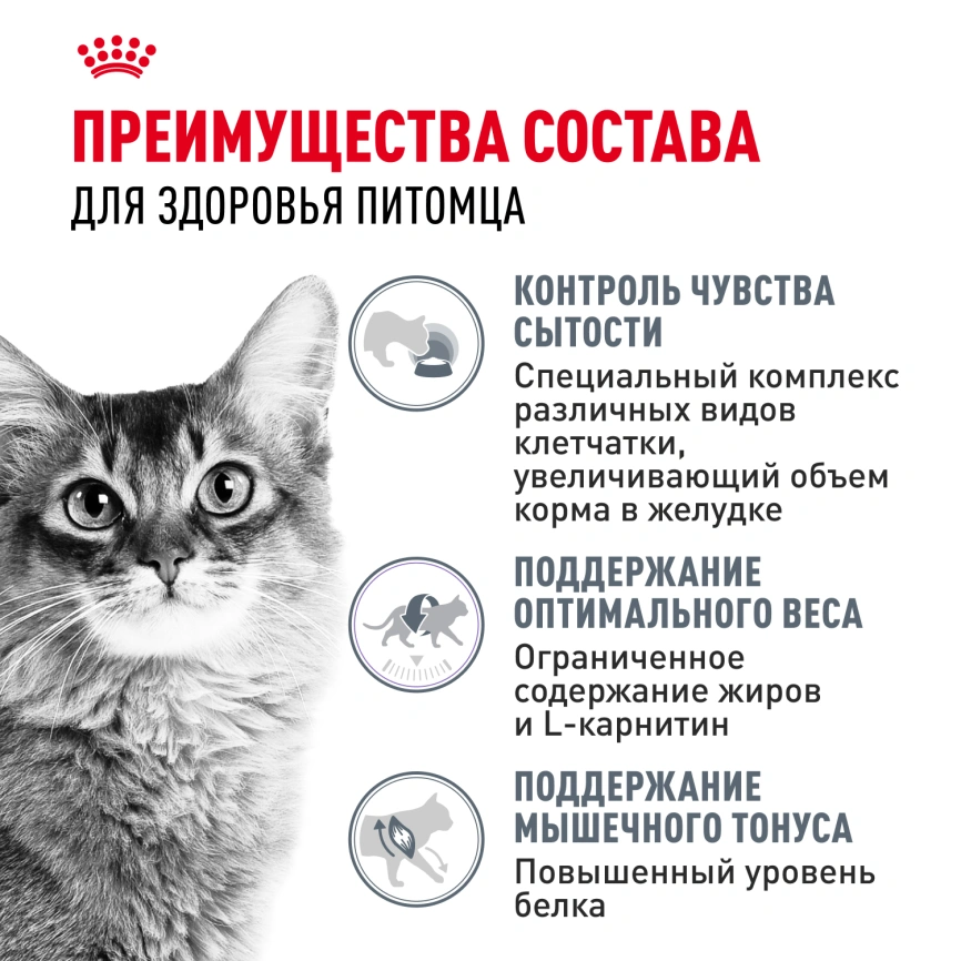 Сухой корм Royal Canin Light Weight Care для кошек, 3 кг фото 3