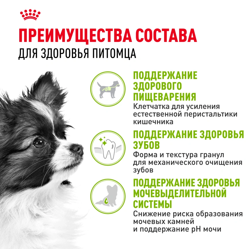 Сухой корм Royal Canin X-Small Adult для собак, 3 кг фото 3
