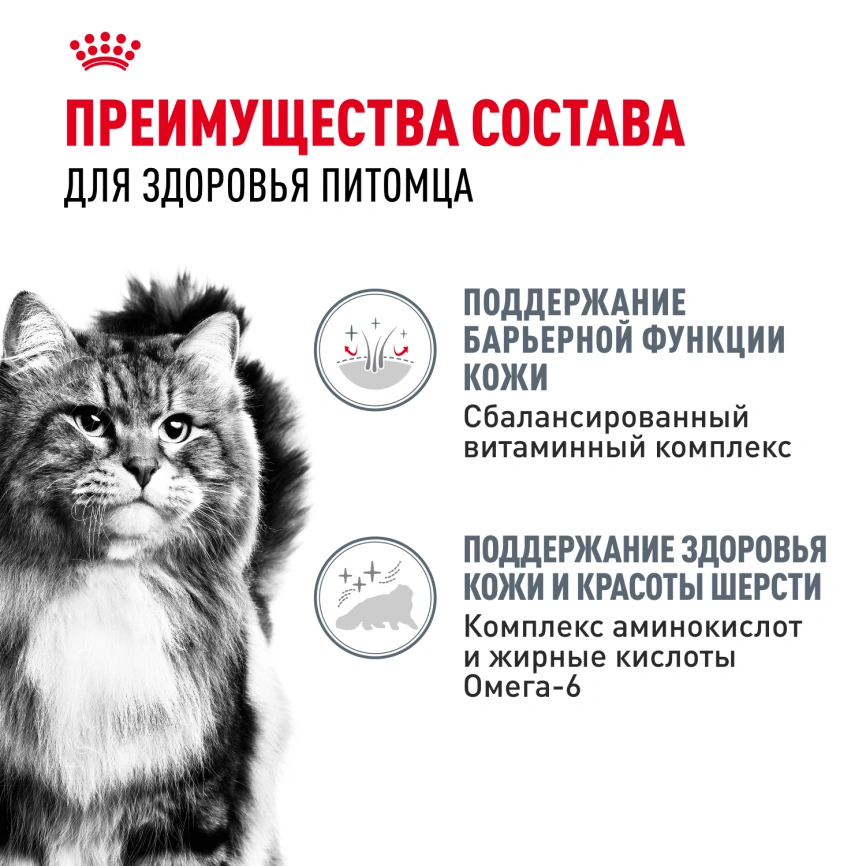 Влажный корм Royal Canin Hair & Skin Care в соусе для взрослых кошек старше 1 года, пауч, 85 г фото 3