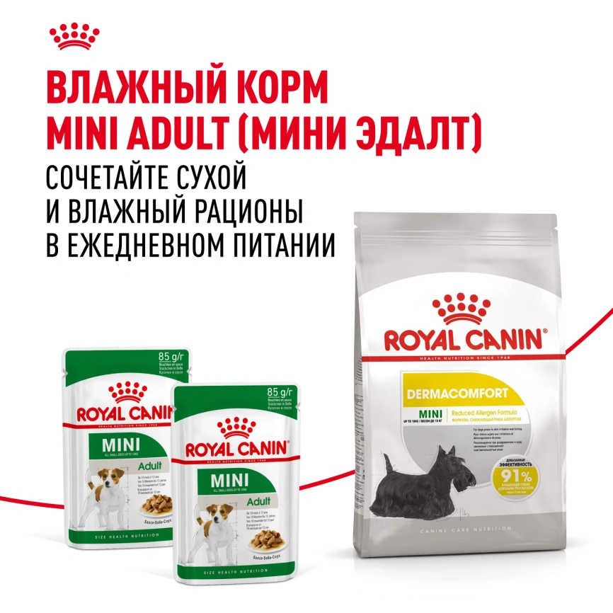 Сухой корм Royal Canin Mini Dermacomfort для собак, 3 кг фото 8