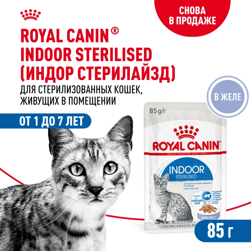 Влажный корм Royal Canin Indoor в желе для кошек, живущих в помещении, пауч, 85 г фото 1