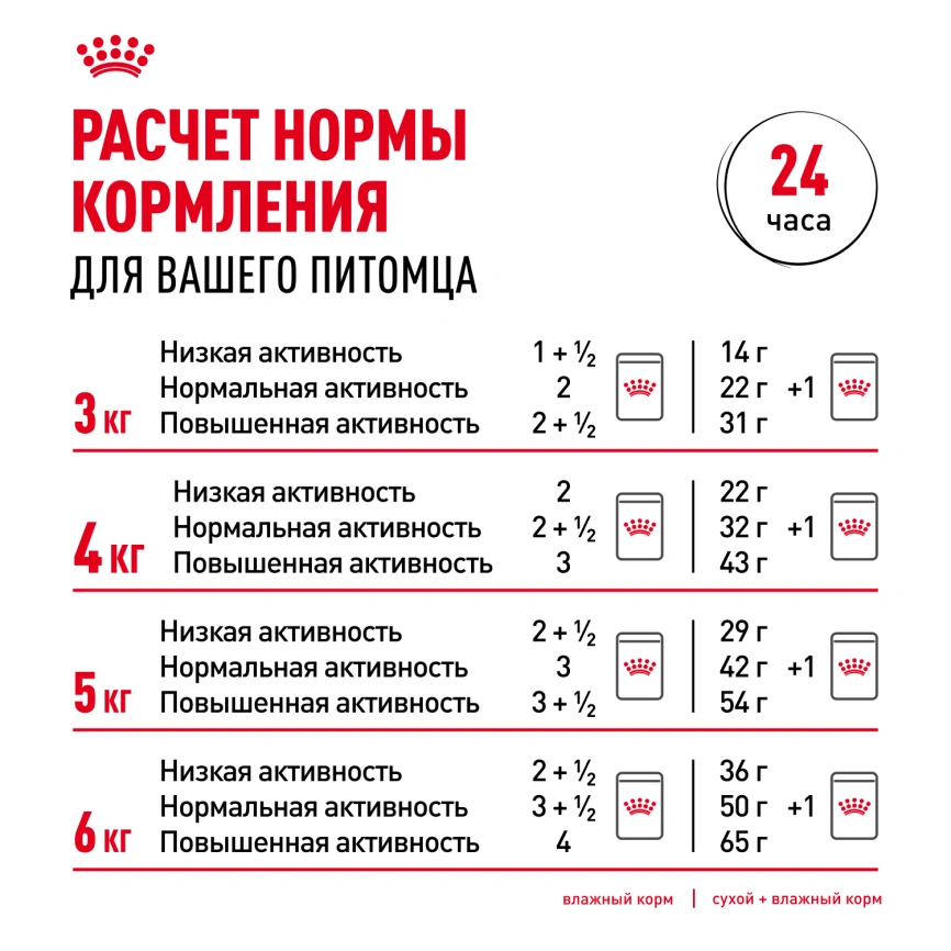 Влажный корм Royal Canin Ageing 12+ в желе для стареющих кошек старше 12 лет, пауч, 85 г фото 8