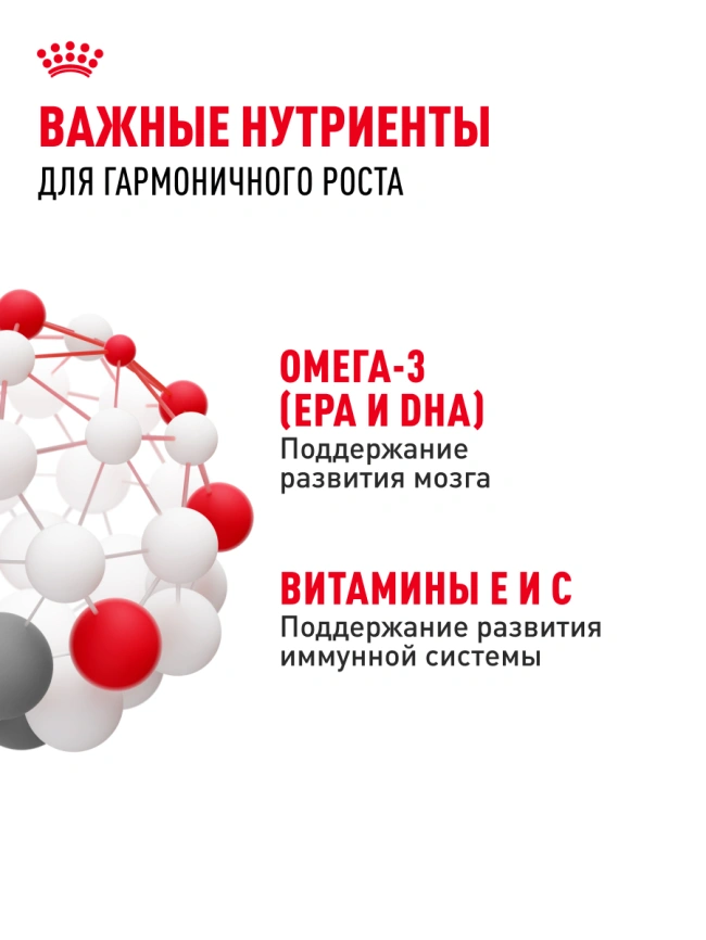 Влажный корм Royal Canin Kitten в соусе для котят до 12 месяцев, пауч, 85 г фото 5