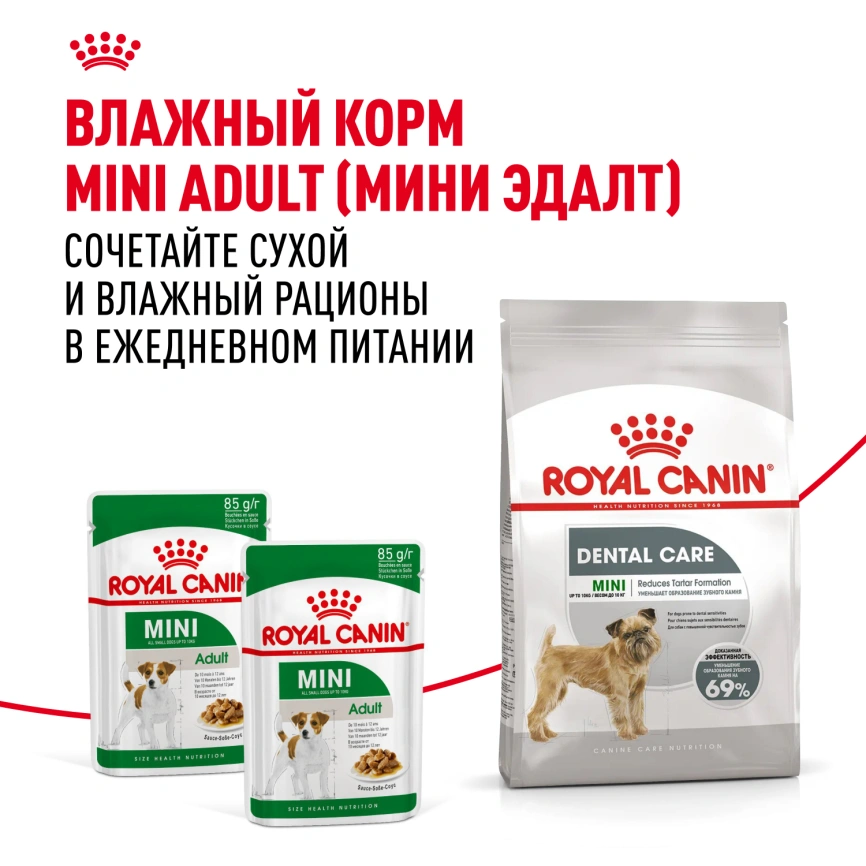 Сухой корм Royal Canin Mini Dental Care для собак, 3 кг фото 8