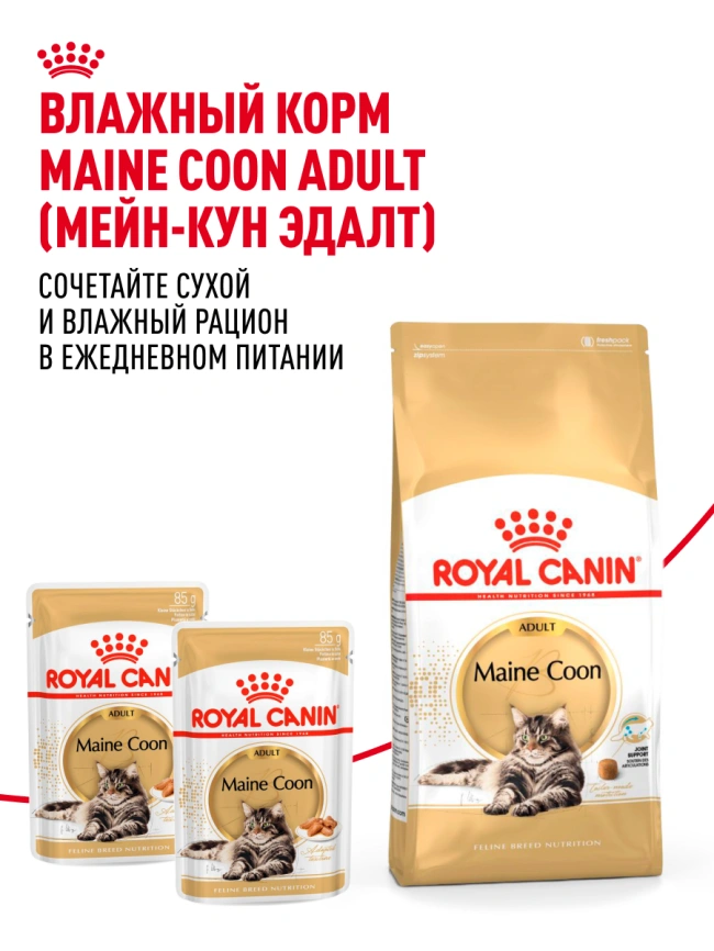 Сухой корм Royal Canin Maine Coon для кошек, 4 кг фото 29