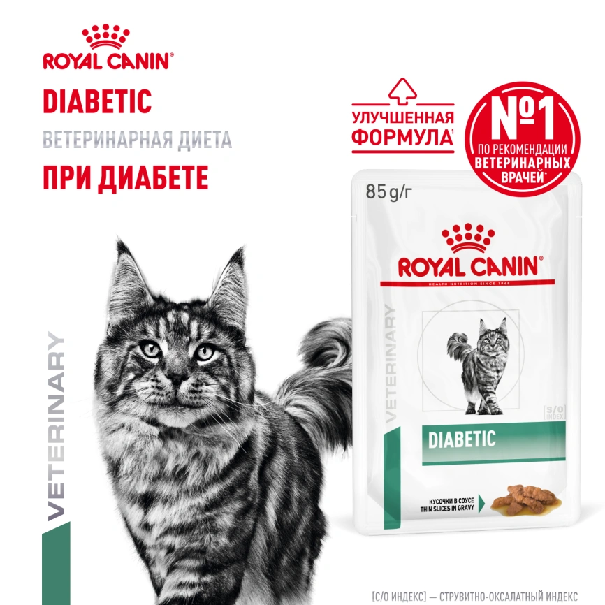 Влажный корм Royal Canin Diabetiс диетический для кошек при сахарном диабете, пауч, 85 г фото 16