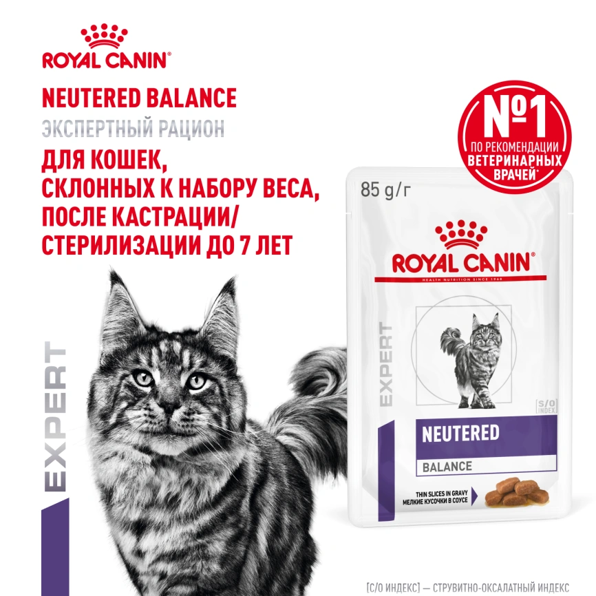 Влажный корм Royal Canin Neutered Balance в соусе для стерилизованных кошек до 7 лет, пауч, 85 г фото 16