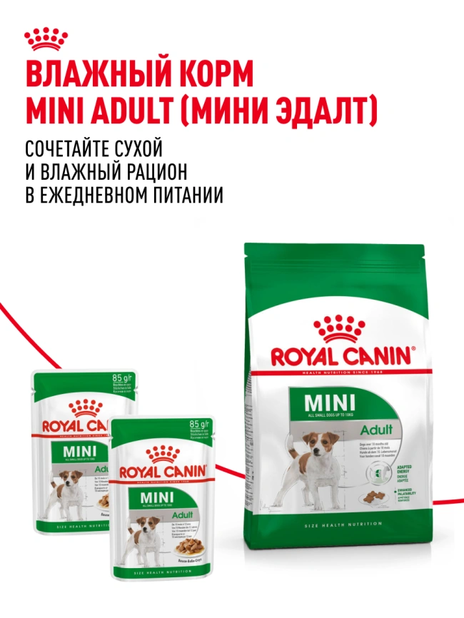Сухой корм Royal Canin Mini Adult для взрослых собак, 800 фото 22
