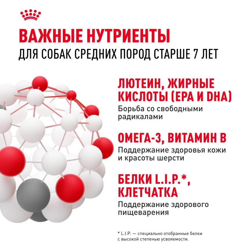 Сухой корм Royal Canin Medium Adult 7+ для собак, 15 кг фото 5