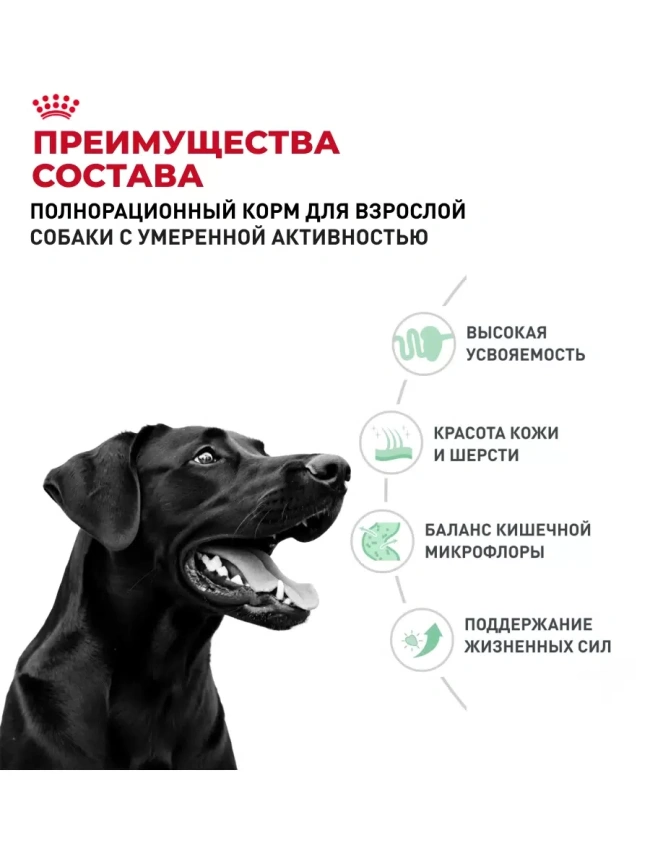 Сухой корм Royal Canin French Bulldog Adult для собак, 3 кг фото 2