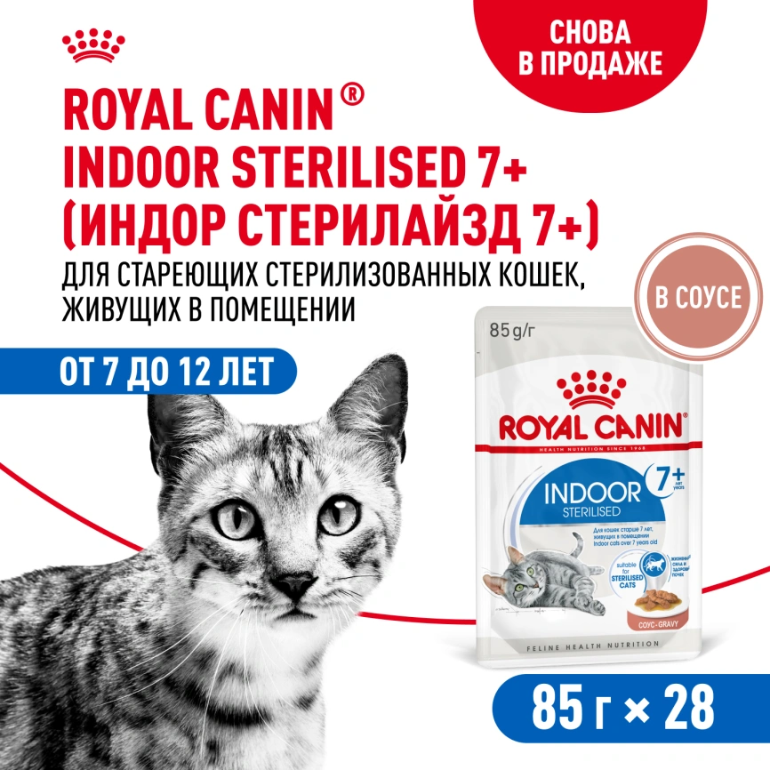 Влажный корм Royal Canin Indoor 7+ в соусе для кошек старше 7 лет, живущих в помещении, пауч, 85 г фото 13