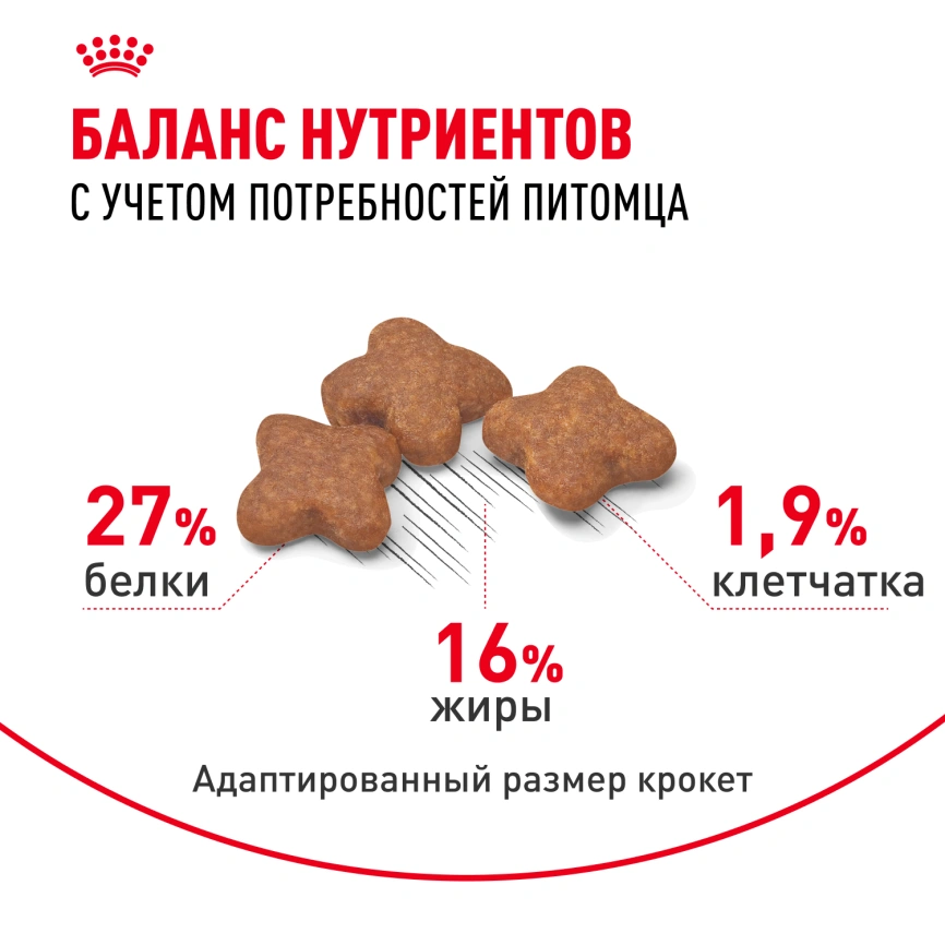 Сухой корм Royal Canin Mini Adult для взрослых собак, 2 кг фото 10