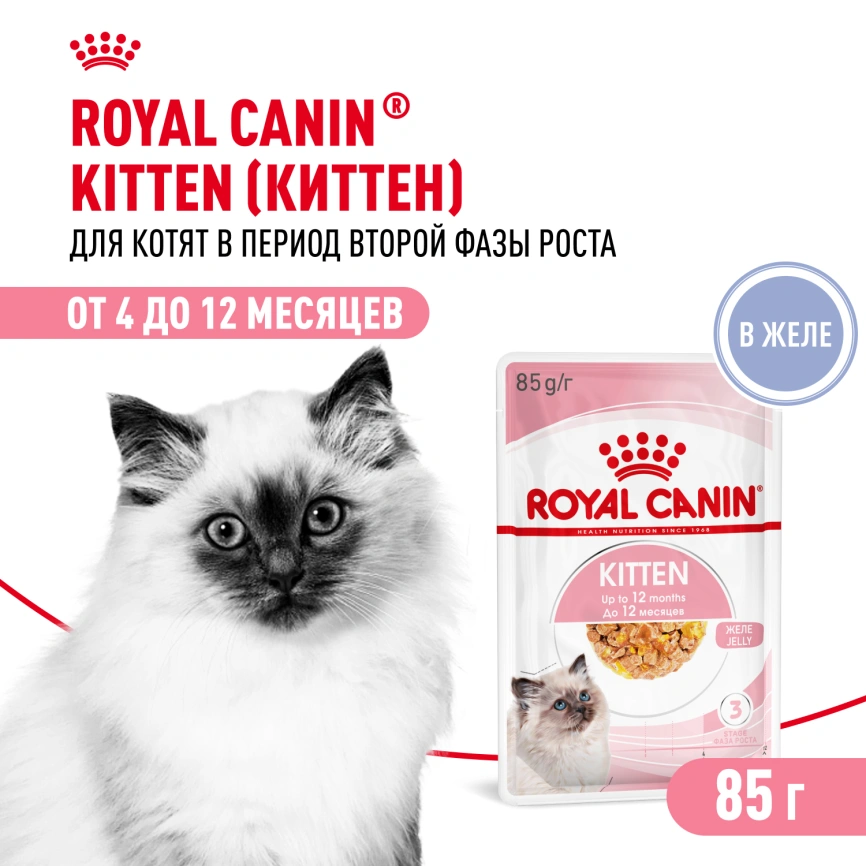 Влажный корм Royal Canin Kitten в желе для котят до 12 месяцев, пауч, 85 г фото 1