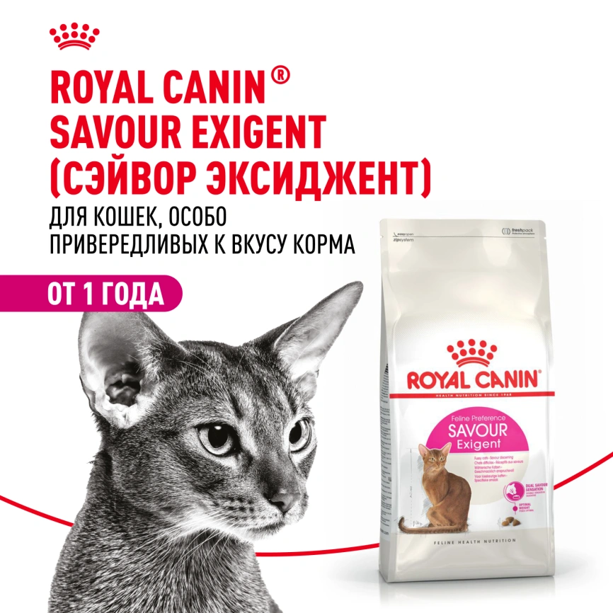 Сухой корм Royal Canin Savour Exigent для кошек, 2 кг фото 12