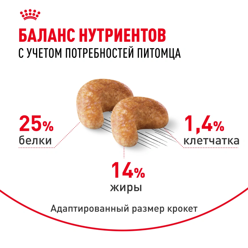 Сухой корм Royal Canin Cocker Adult для собак породы кокер-спаниель, 3 кг фото 4