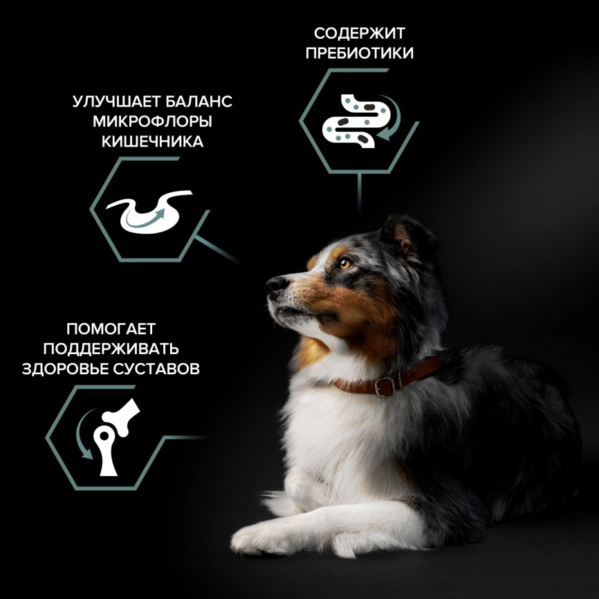 Сухой корм Purina Pro Plan Medium для взрослых собак средних пород, ягнёнок и рис, 1.5 кг фото 2