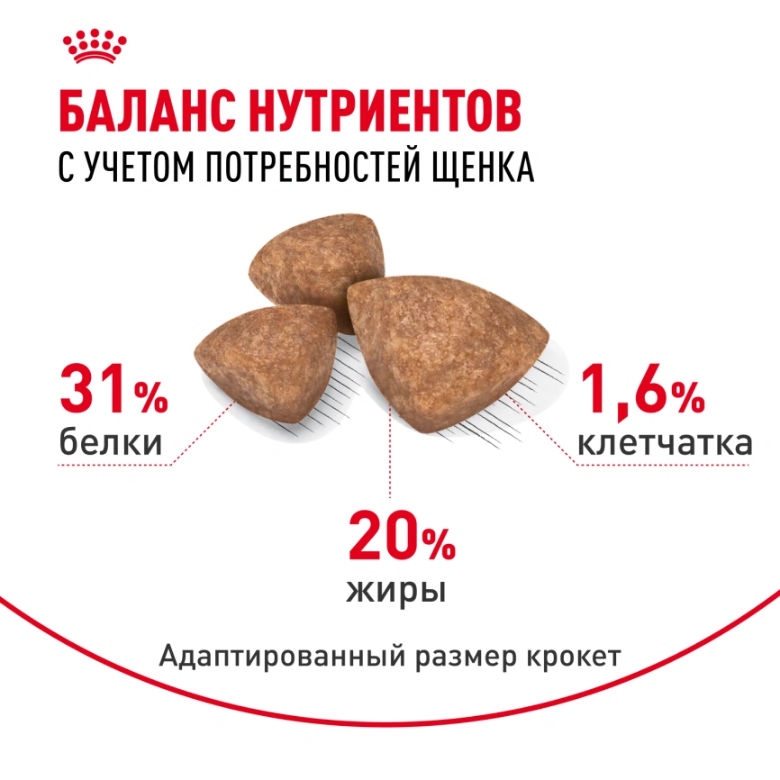 Сухой корм Royal Canin X-Small Puppy для щенков, 3 кг фото 5