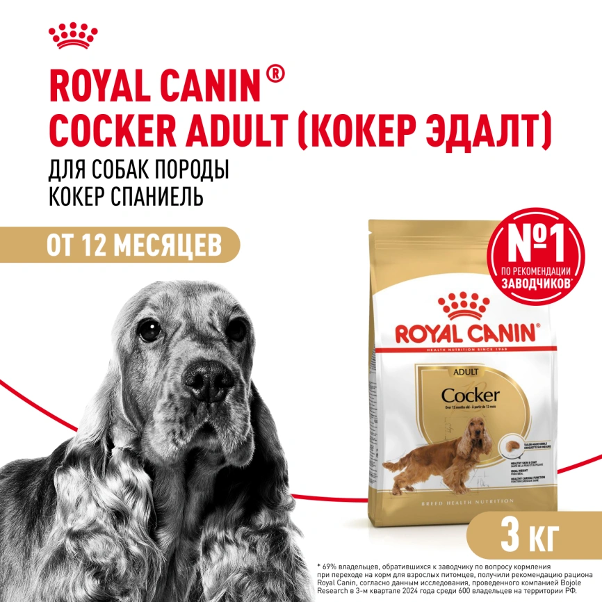 Сухой корм Royal Canin Cocker Adult для собак породы кокер-спаниель, 3 кг фото 1
