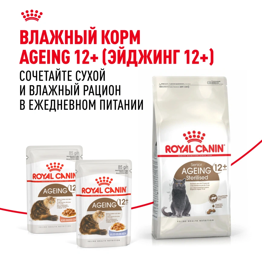 Сухой корм Royal Canin Ageing Sterilised 12+ для стерилизованных кошек старше 12 лет, 400 г фото 8
