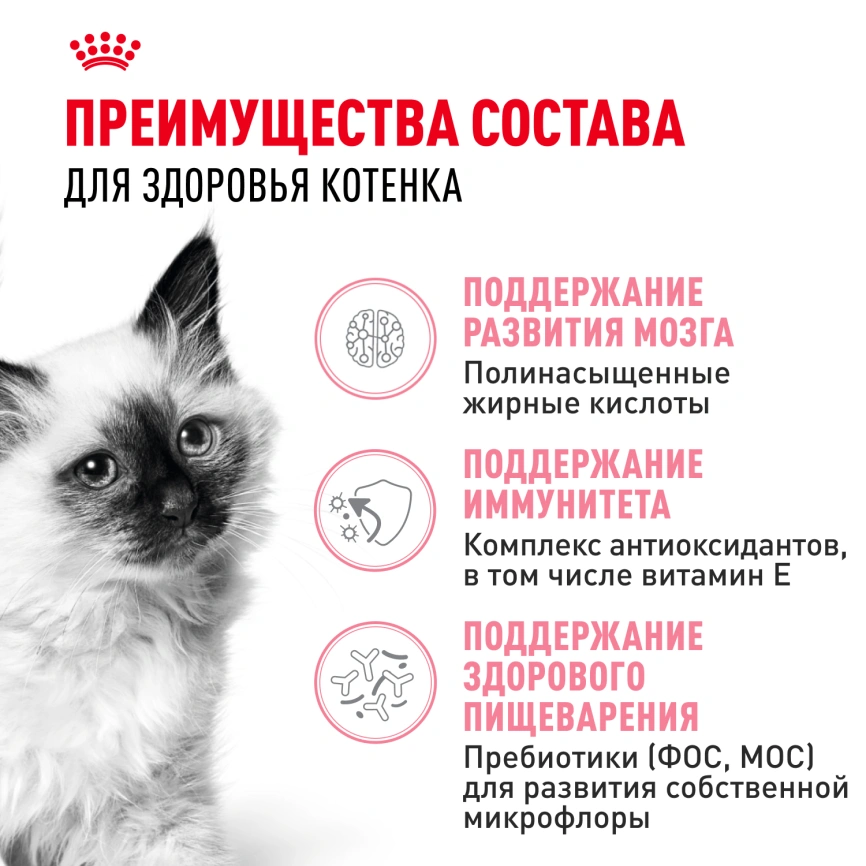 Сухой корм Royal Canin Kitten для котят, 4 кг фото 3