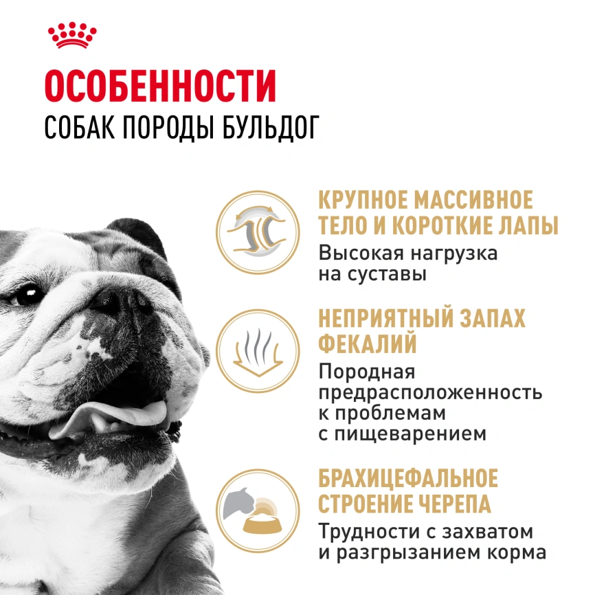 Сухой корм Royal Canin Bulldog Adult для собак породы английский бульдог, 12 кг фото 2