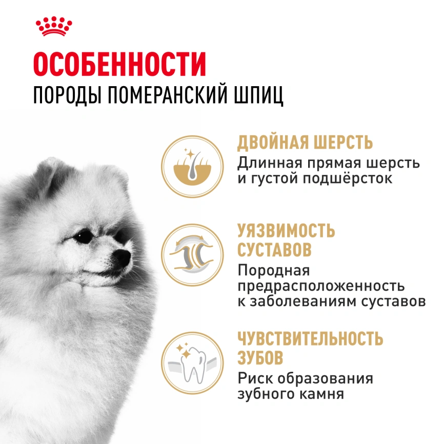 Сухой корм Royal Canin Pomeranian Adult для собак породы померанский шпиц, 500 г фото 3