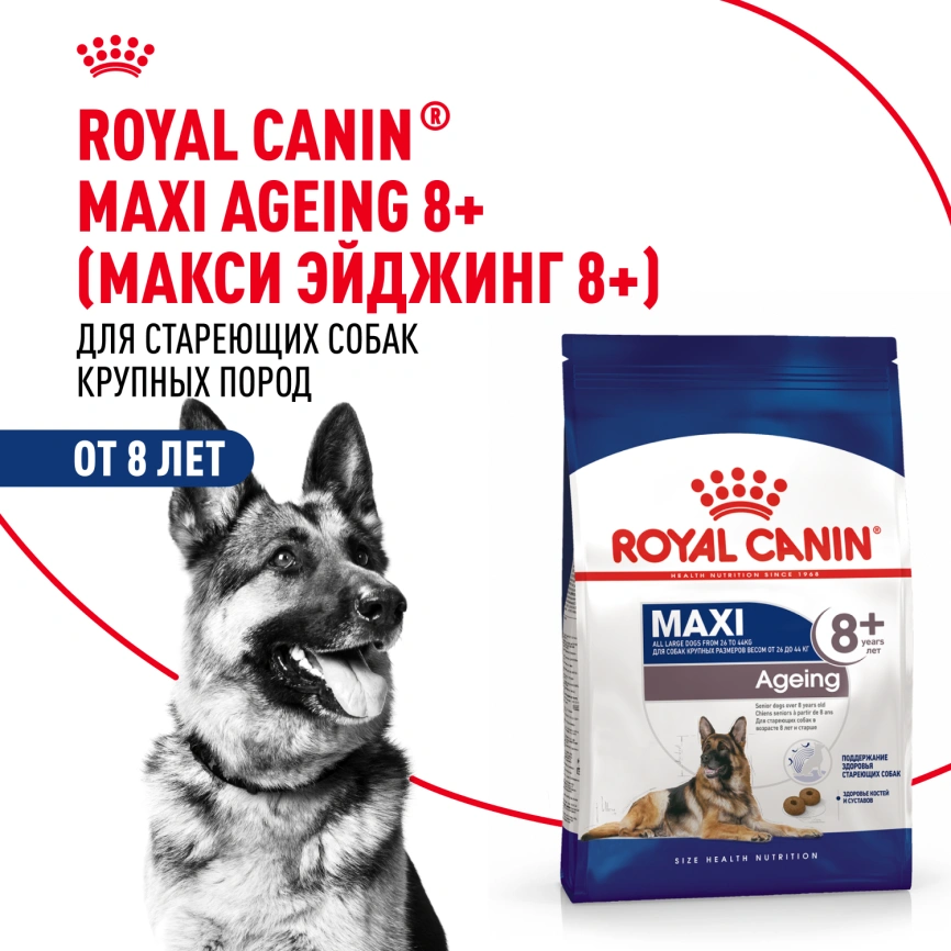 Сухой корм Royal Canin Maxi Ageing 8+ для собак, 15 кг фото 12