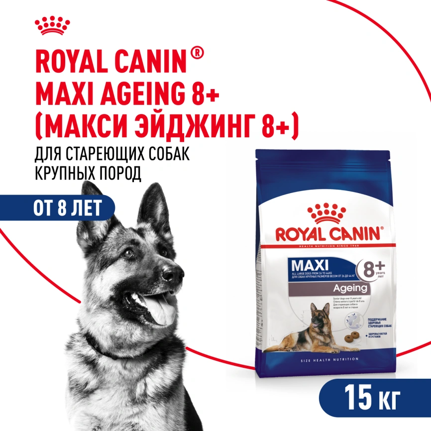 Сухой корм Royal Canin Maxi Ageing 8+ для собак, 15 кг фото 1