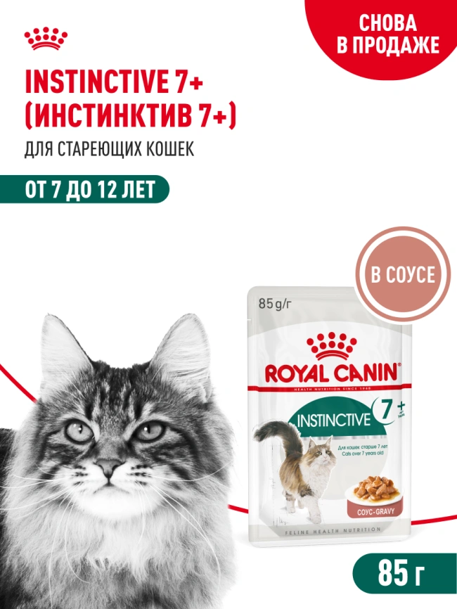 Влажный корм Royal Canin Instinctive 7+ в соусе для кошек старше 7 лет, пауч, 85 г фото 15