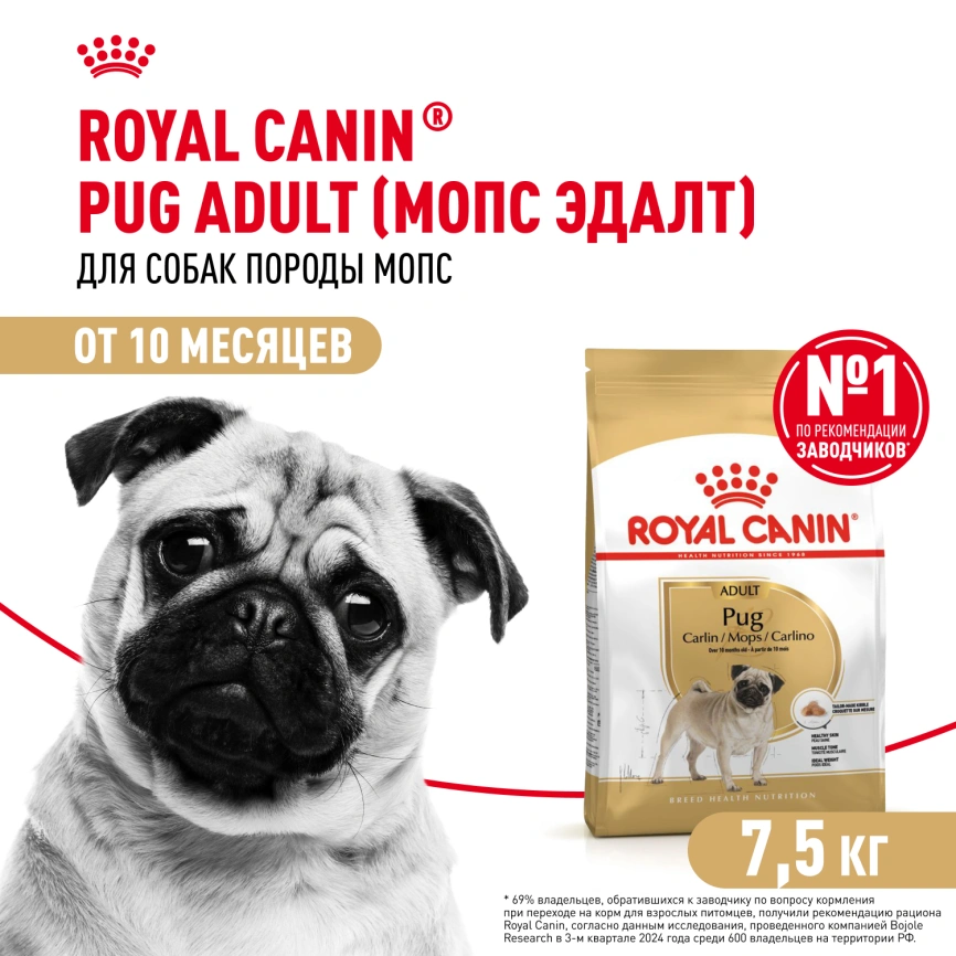 Сухой корм Royal Canin Pug Adult для взрослых собак, 7,5 кг фото 1