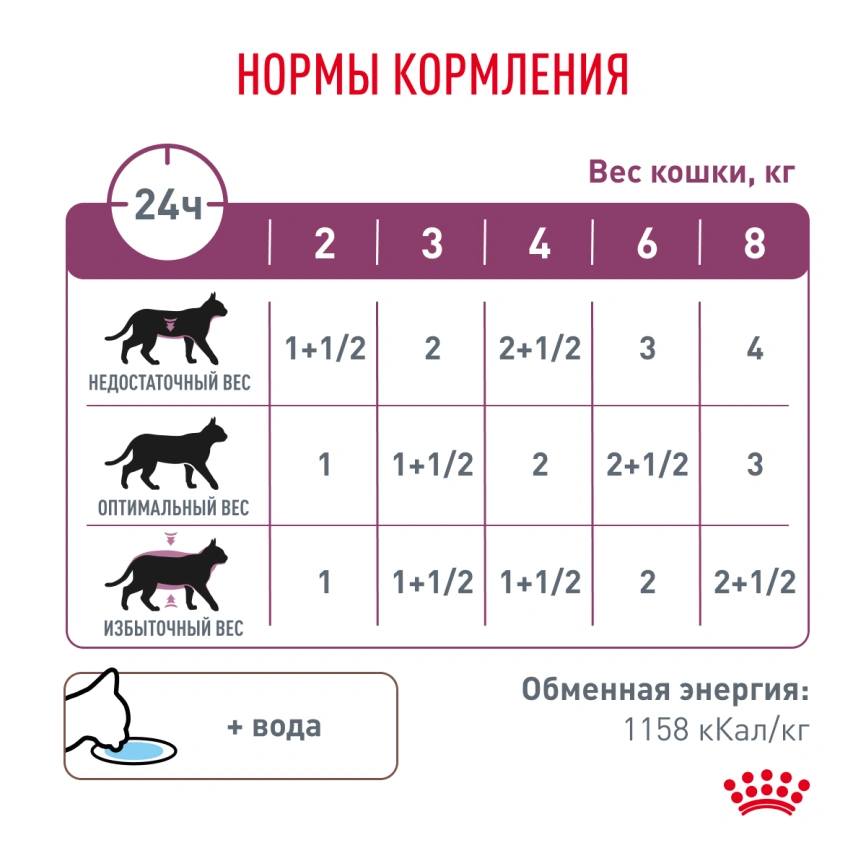 Влажный корм Royal Canin Renal with Chicken в соусе для кошек при заболеваниях почек, с курицей, пауч, 85 г фото 5
