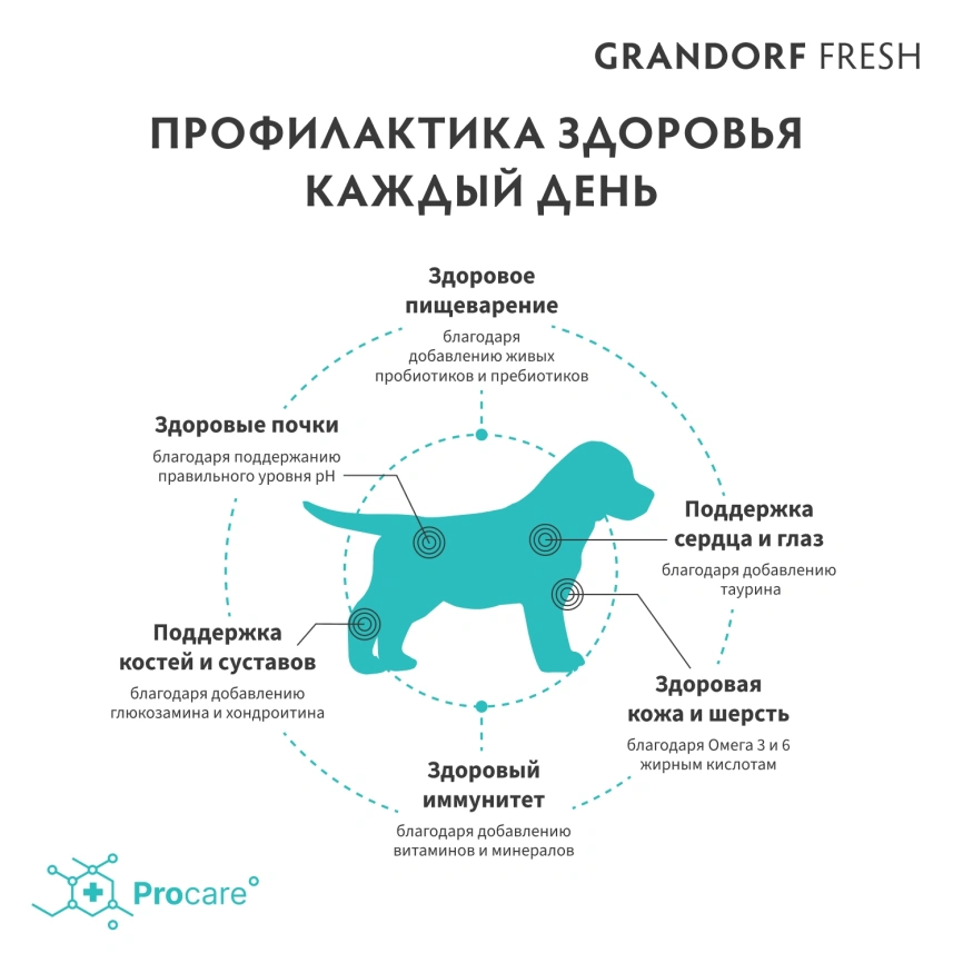 Сухой корм Grandorf Fresh Dog для щенков всех пород беременных и кормящих собак беззерновой ягненок с бататом 10 кг фото 4