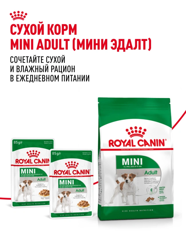 Влажный корм Royal Canin Mini Adult в соусе для взрослых собак мелких пород старше 10 месяцев, пауч, 85 г фото 22