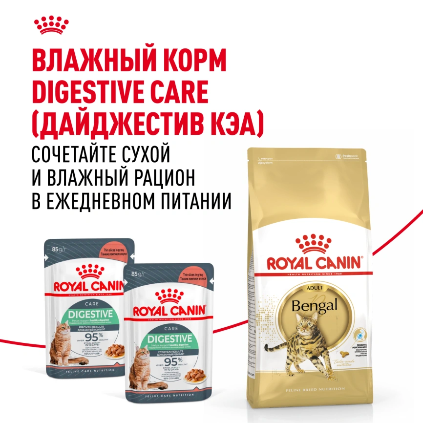 Сухой корм Royal Canin Bengal для кошек бенгальской породы, 2 кг фото 8
