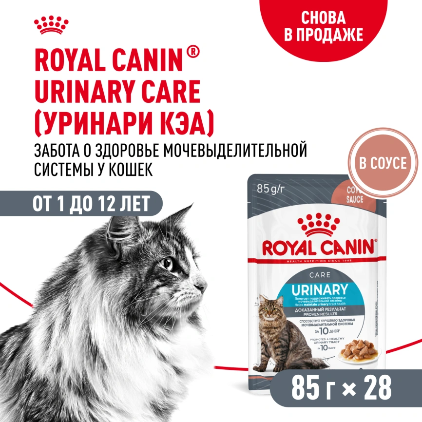Влажный корм Royal Canin Urinary Care в соусе для кошек для поддержания здоровья мочевыделительной системы, пауч, 85 г фото 13