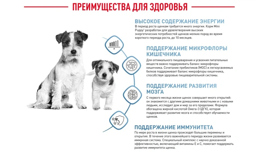 Сухой корм Royal Canin Mini Puppy для щенков, 2 кг фото 16