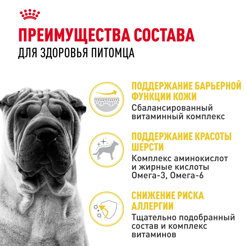 Сухой корм Royal Canin Medium Dermacomfort для собак, 3 кг фото 2