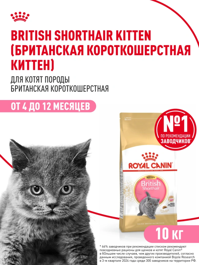 Сухой корм Royal Canin Kitten British Shorthair для котят, 10 кг фото 15
