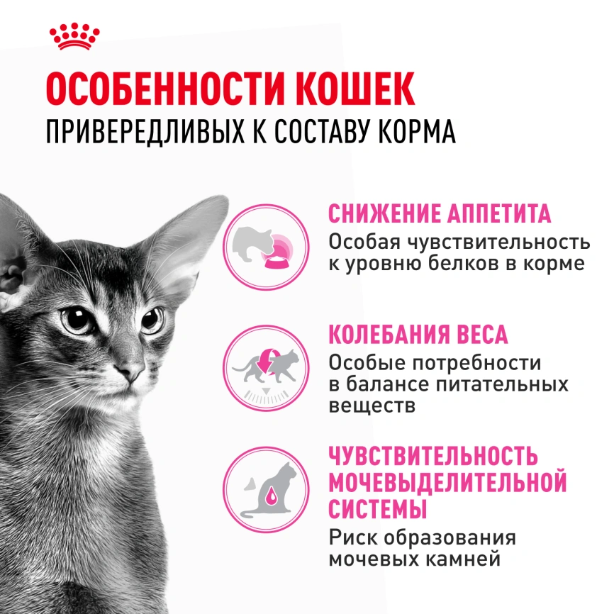 Сухой корм Royal Canin Protein Exigent для кошек, фото 2