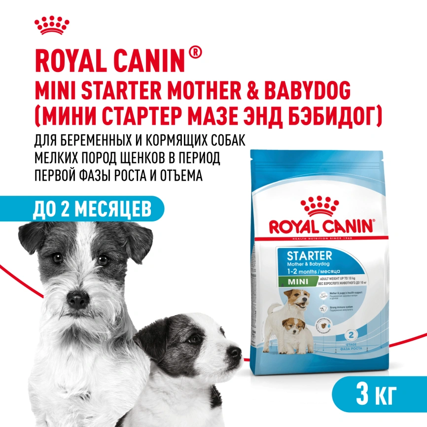 Сухой корм Royal Canin Mini Starter Mother & Babydog для щенков и кормящих сук, 3 кг фото 1