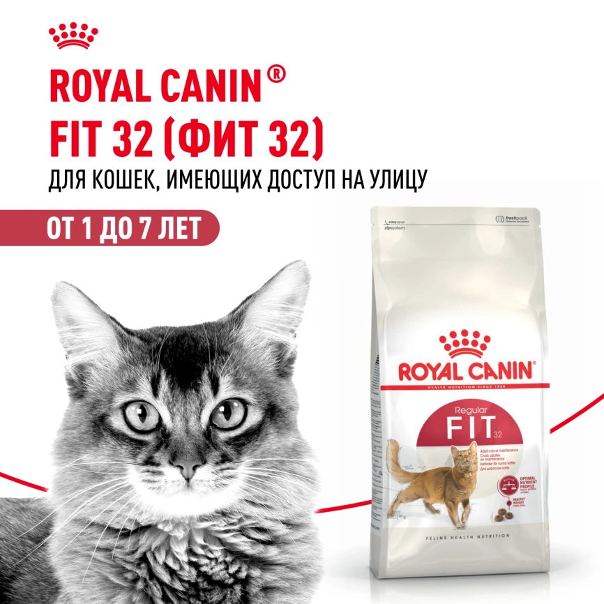 Сухой корм Royal Canin Fit для кошек, 4 кг фото 14