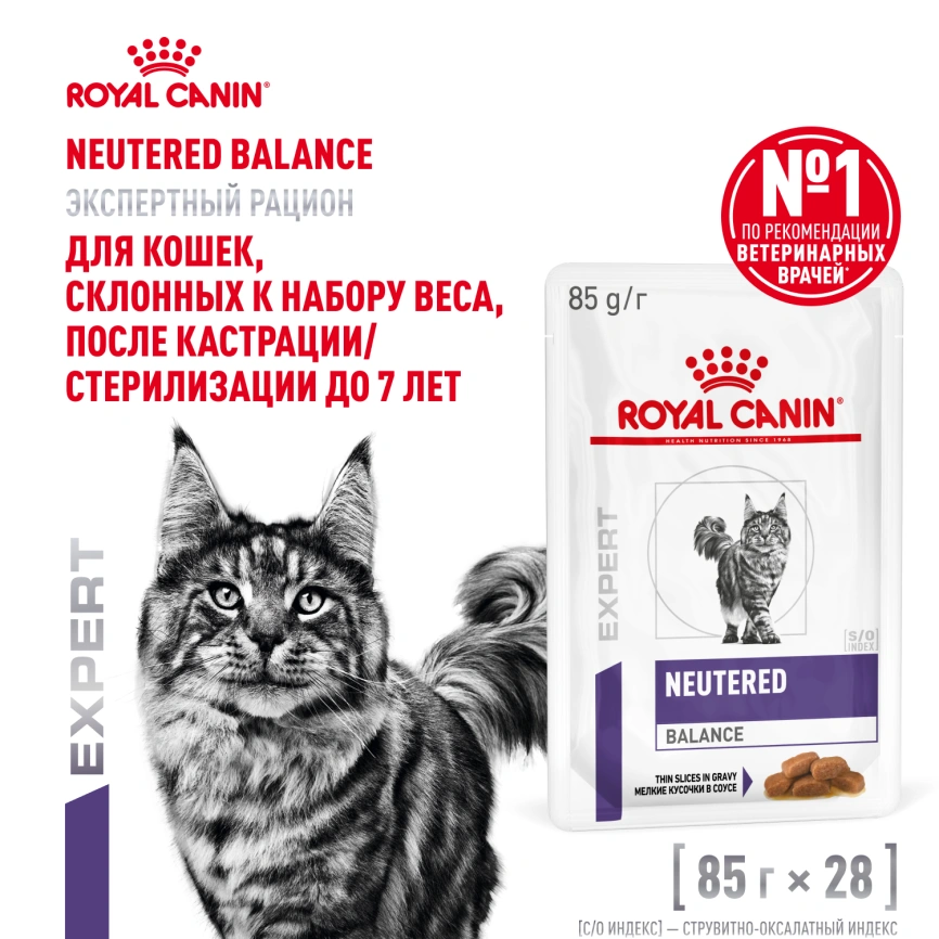 Влажный корм Royal Canin Neutered Balance в соусе для стерилизованных кошек до 7 лет, пауч, 85 г фото 12