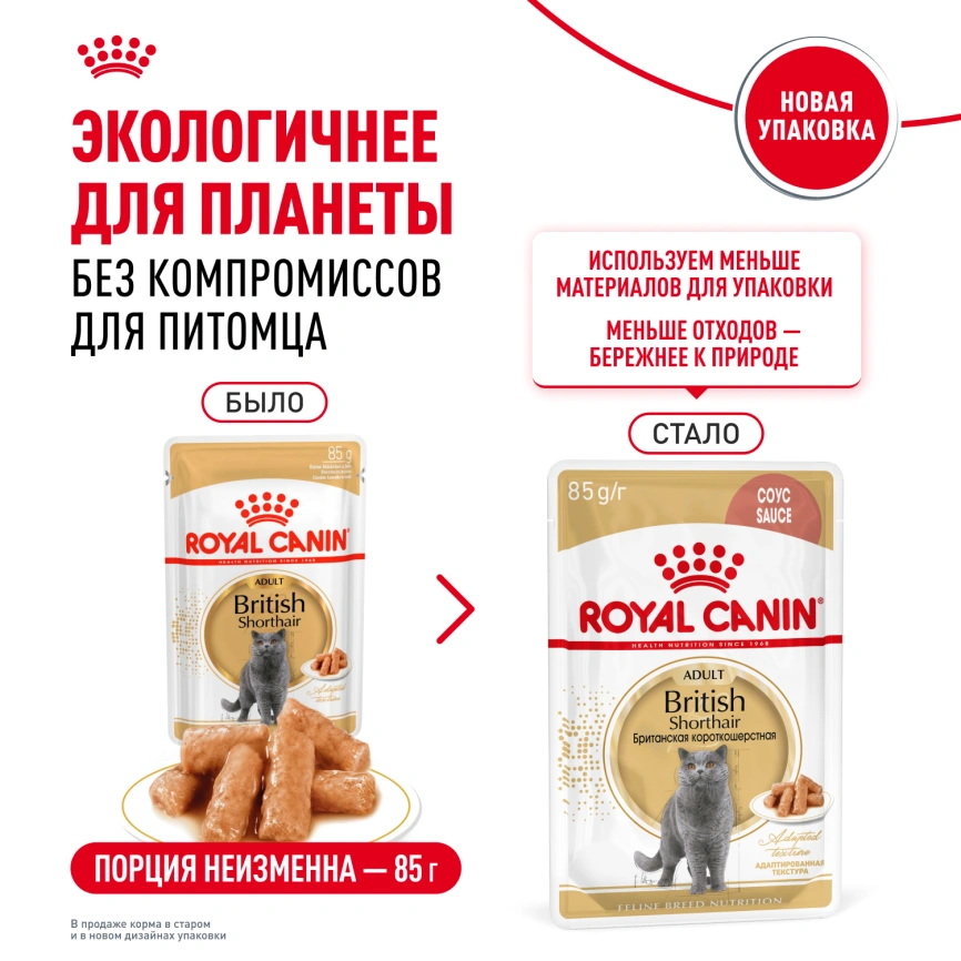 Влажный корм Royal Canin British Shorthair в соусе для кошек породы британская короткошерстная и шотландская вислоухая старше 1 года, пауч, 85 г фото 8