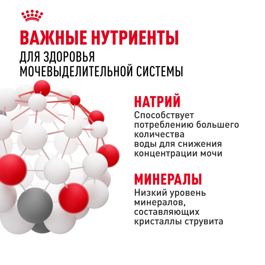 Влажный корм Royal Canin Urinary Care в соусе для кошек для поддержания здоровья мочевыделительной системы, пауч, 85 г фото 6