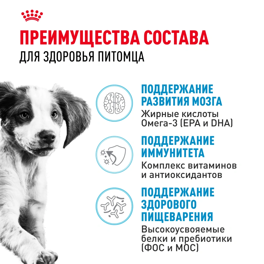 Сухой корм Royal Canin Medium Puppy для щенков, 3 кг фото 3