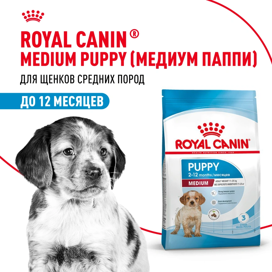 Сухой корм Royal Canin Medium Puppy для щенков, 14 кг фото 11