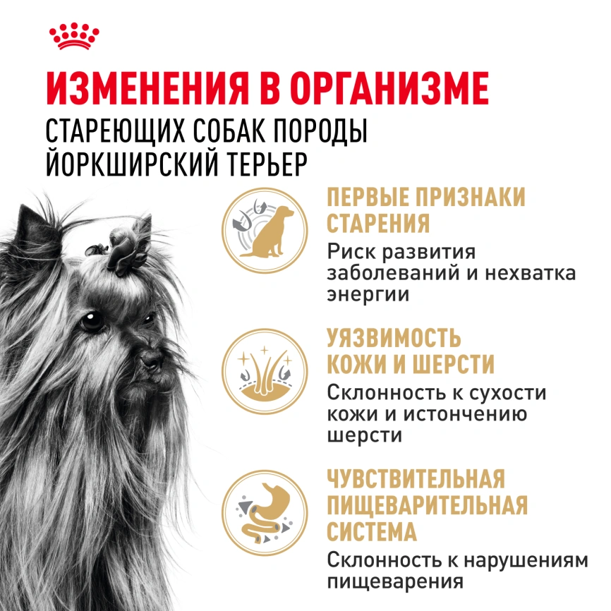 Сухой корм Royal Canin Yorkshire Terrier Adult 8+ для собак породы йоркширский терьер, 1.5 кг фото 3