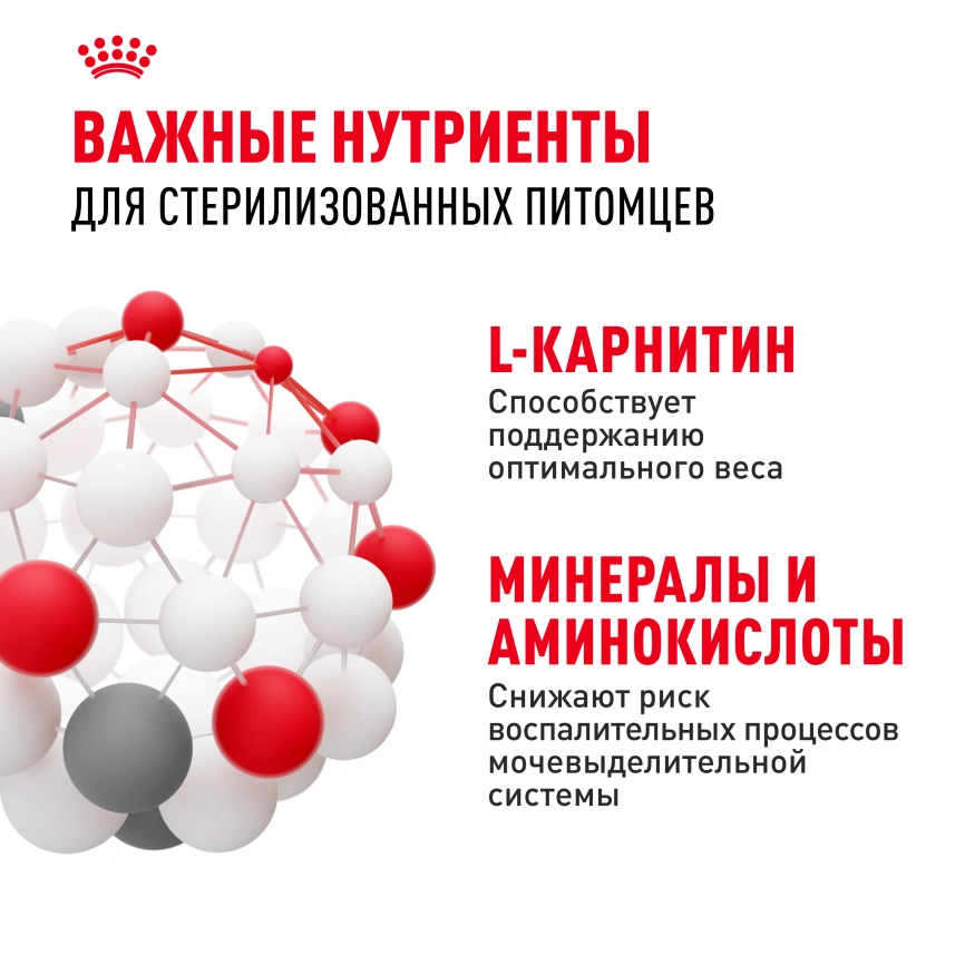 Сухой корм Royal Canin Sterilised для кастрированных котов и стерилизованных кошек, 2 кг фото 5
