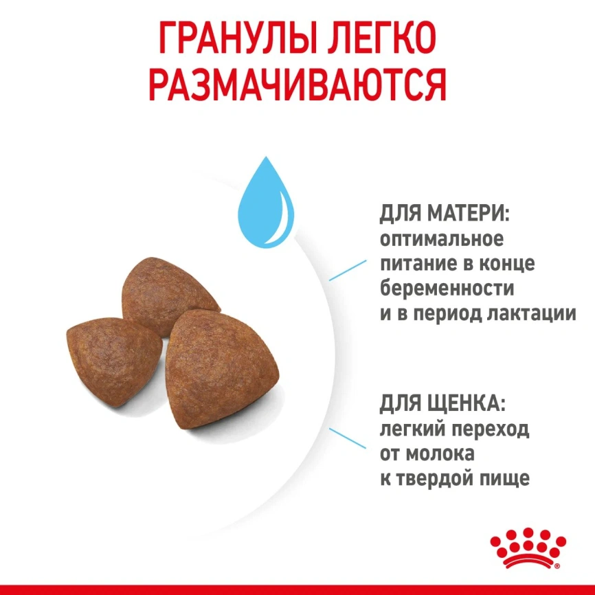 Сухой корм Royal Canin Medium Starter Mother & Babydog для собак, 12 кг фото 8